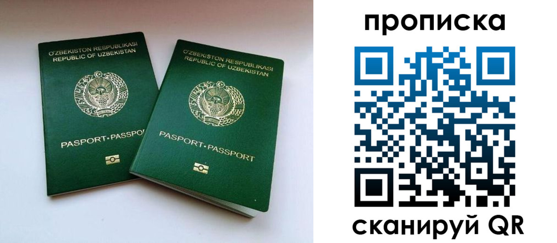 прописка поиск в Таре